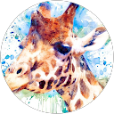 TLC Guardian Service, LLC profile picture